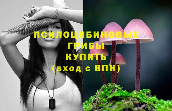 бутират Кодинск