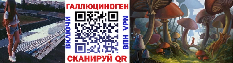 Псилоцибиновые грибы Psilocybine cubensis  блэк спрут как войти  Полевской 