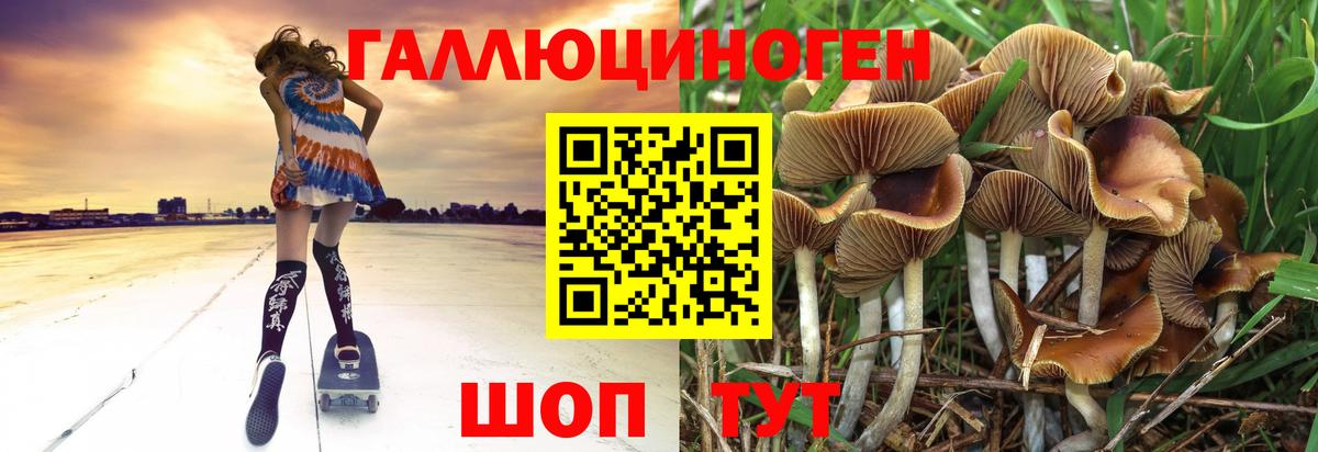 Псилоцибиновые грибы Psilocybine cubensis  Псилоцибиновые грибы MAGIC MUSHROOMS  Вход с VPN  Полевской 